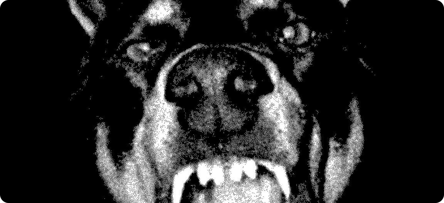 Trikromi